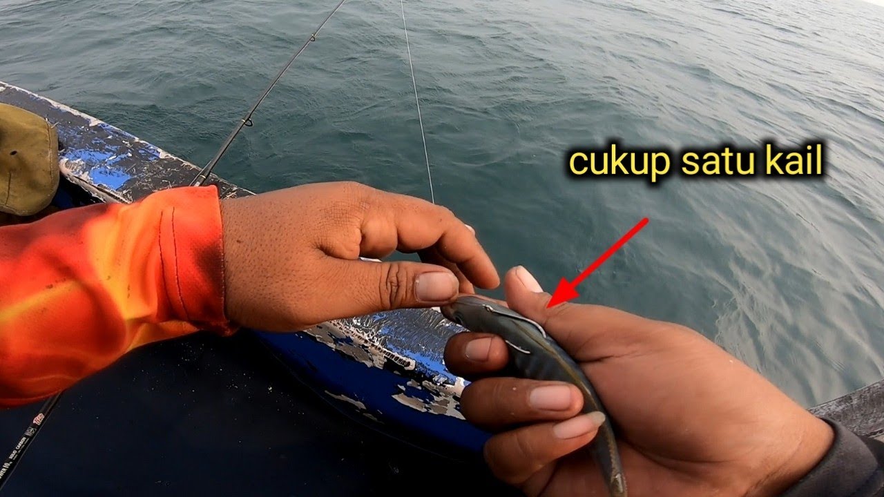 trik mancing ikan tengiri agar cepat sambaran ala nelayan
