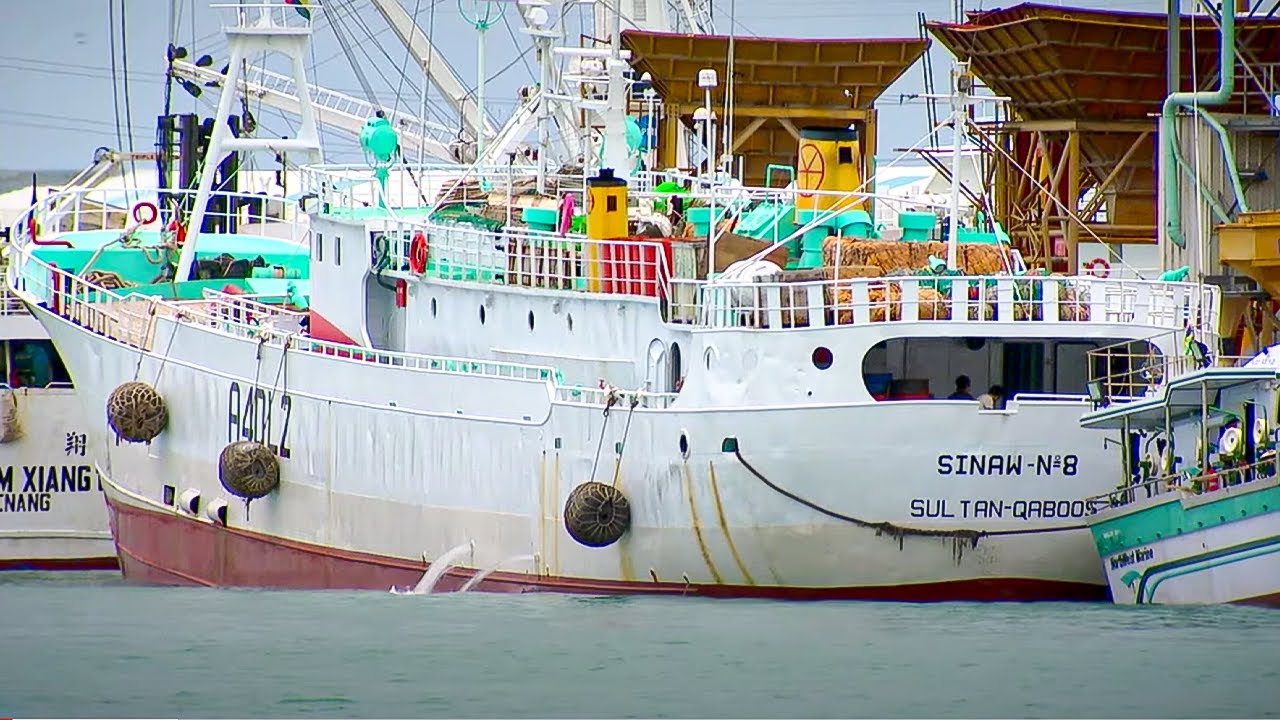 Are We Fishing our Oceans to Death? | Indian Ocean with Simon Reeve | BBC Studios