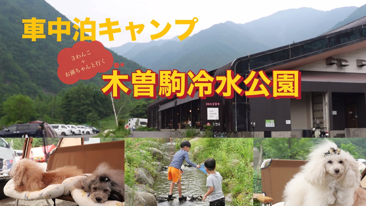 【ハイエース車中泊】　３わんこと行く超快適キャンプ（木曽駒冷水公園）の旅＾＾