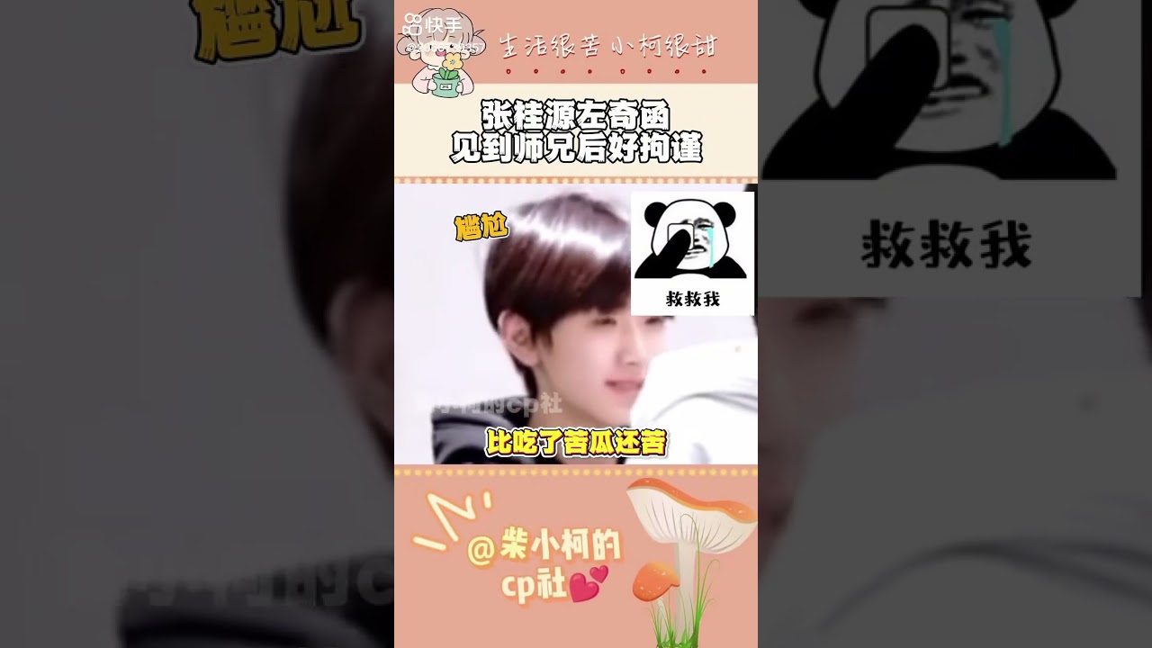 祖传的不怕老板怕师兄🤣#左奇函 #张桂源
