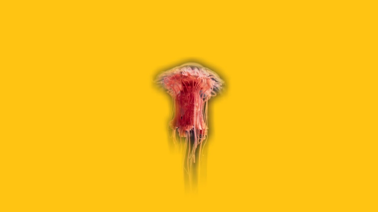 [FREE NO COPYRIGHT BEAT] 