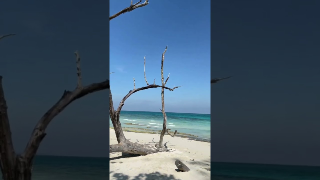 Kala pathar beach, Havelock Island, Andaman