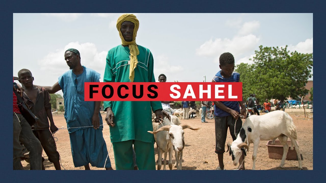 Focus Sahel, épisode 61 : l'impact des troubles sécuritaires sur l'élevage