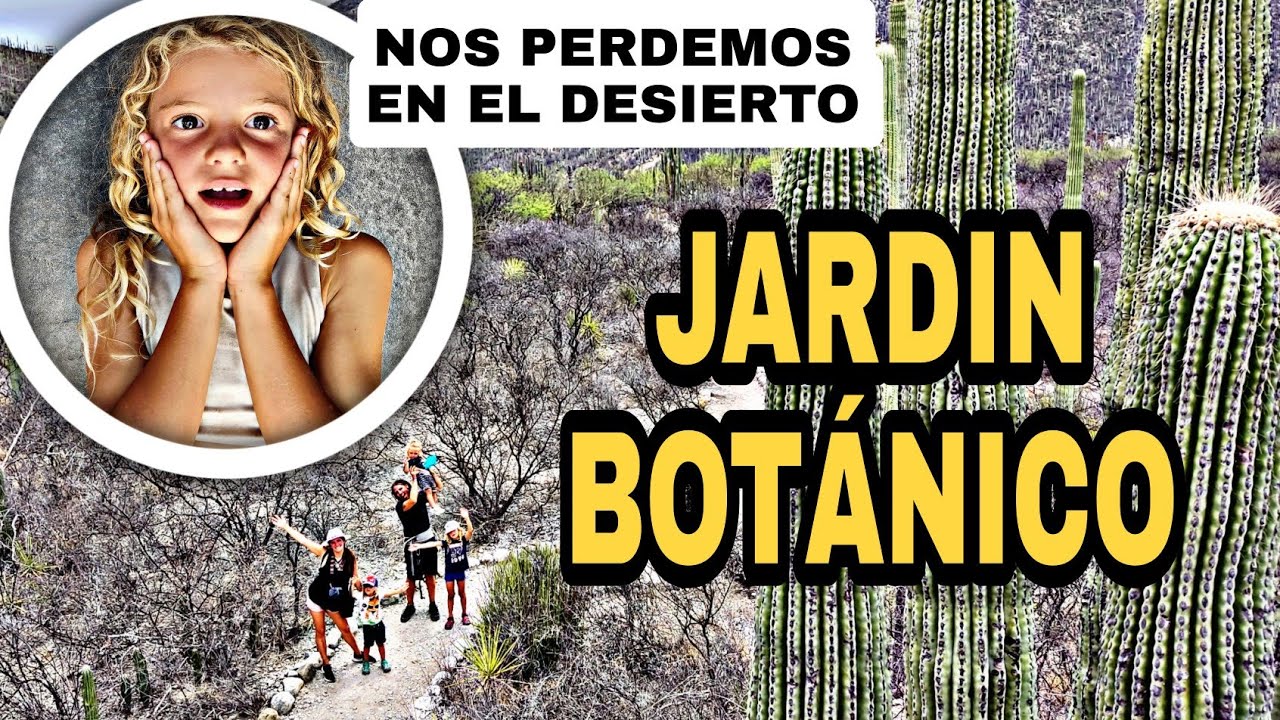 33. Jardín Botánico Zapotitlán Salinas + Paleo Parque | PUEBLA | MÉXICO 🇲🇽