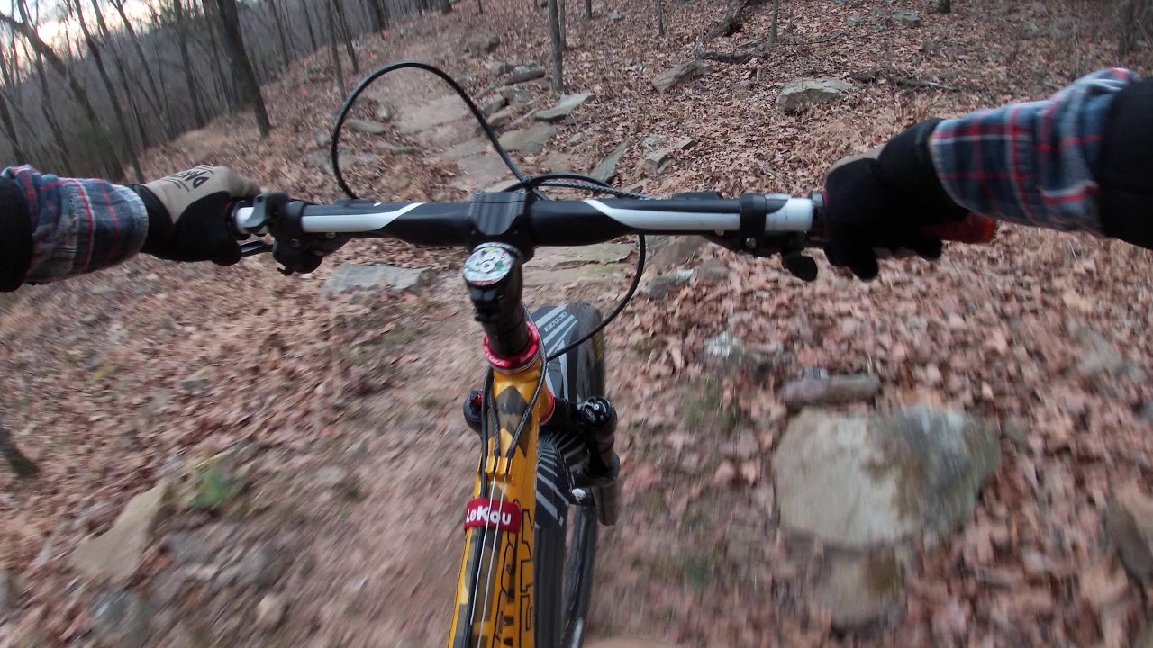 Colley mtb trails. Hardtail shred.