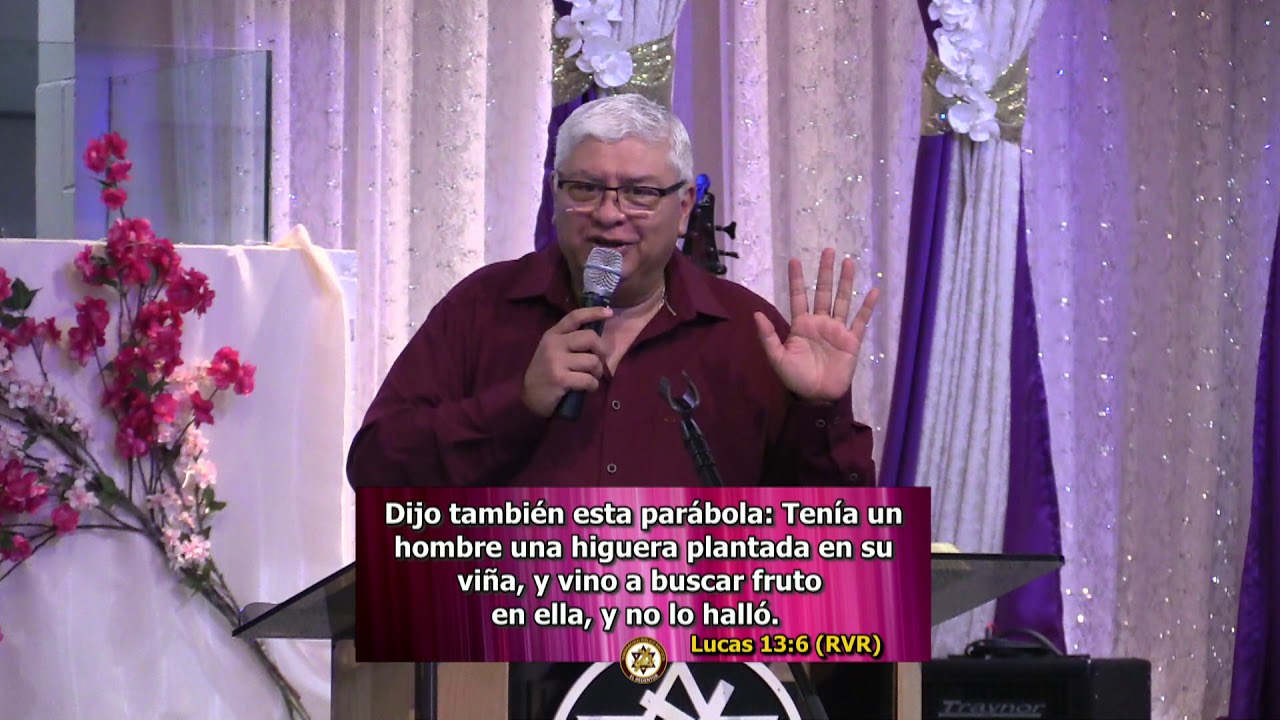 Muchas Hojas pero Sin Fruto - Sermones Cristianos