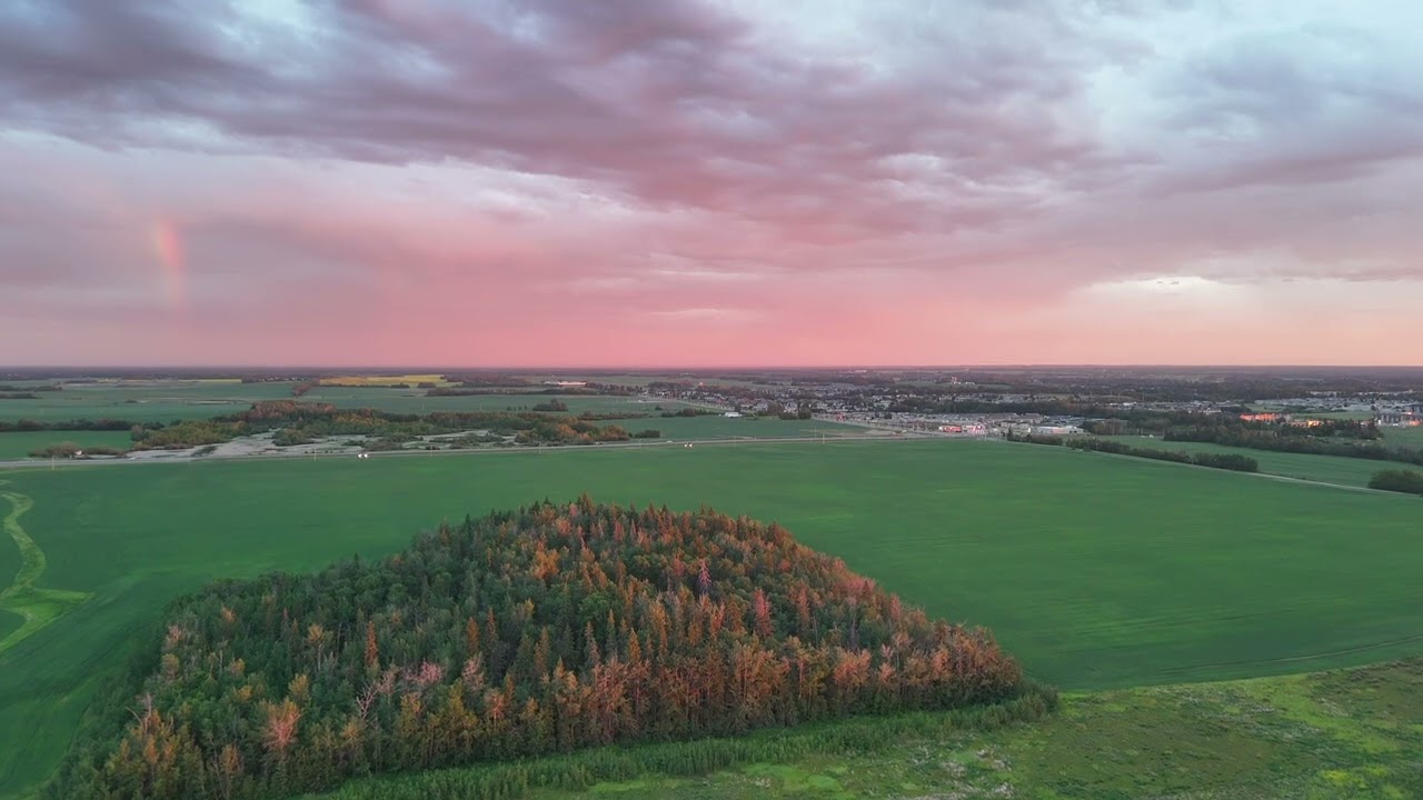 Explore with me the Beautiful developing city of Spruce Grove Alberta