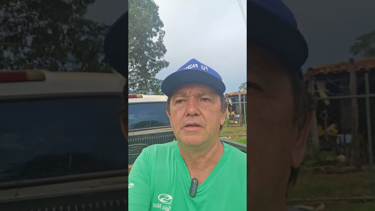 fui fazenda Walter Marques  está ao vivo!