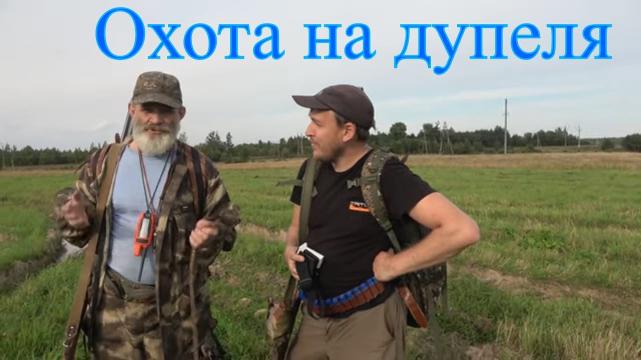 Эпаньоль Бретон #2 Охота на дупеля