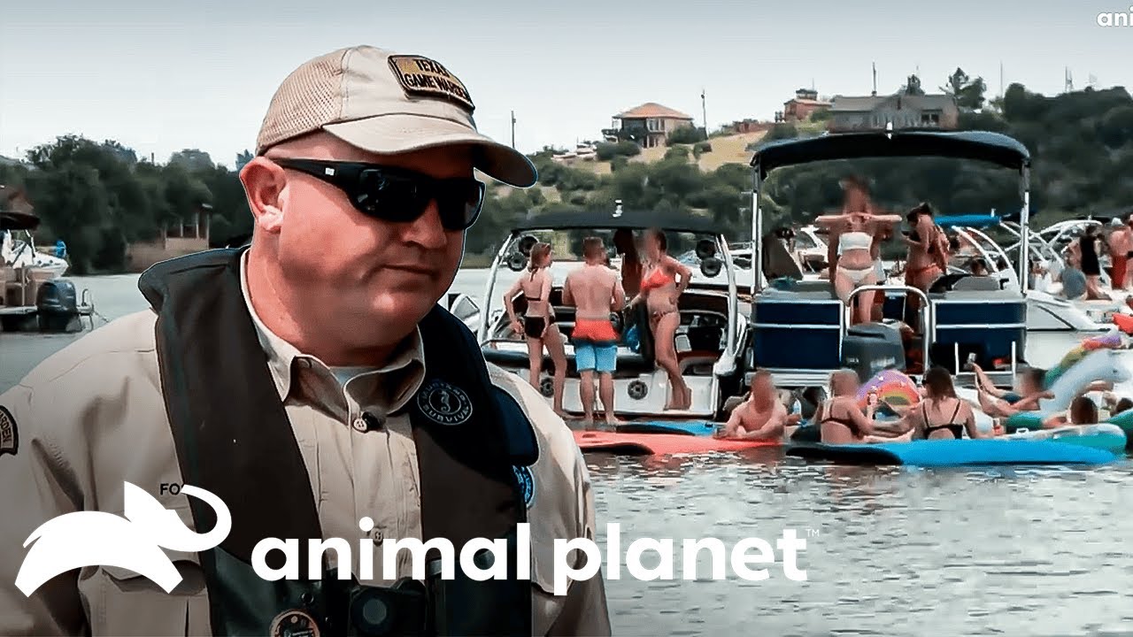 Um dia de desafios | Patrulheiros Da Natureza | Animal Planet Brasil