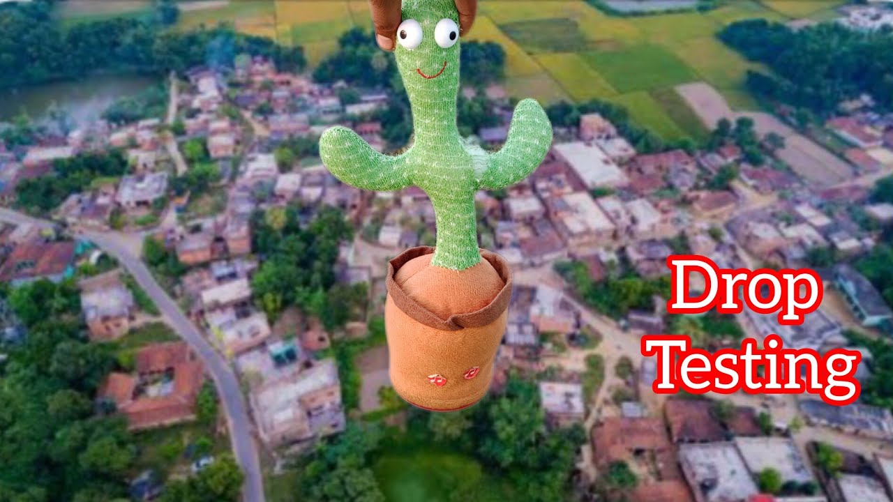 Whats inside Talking Cactus ? कैक्टस को ऊंचाई से फेंका फिर जो हुआ आप सोच भी नहीं सकते 😱😱