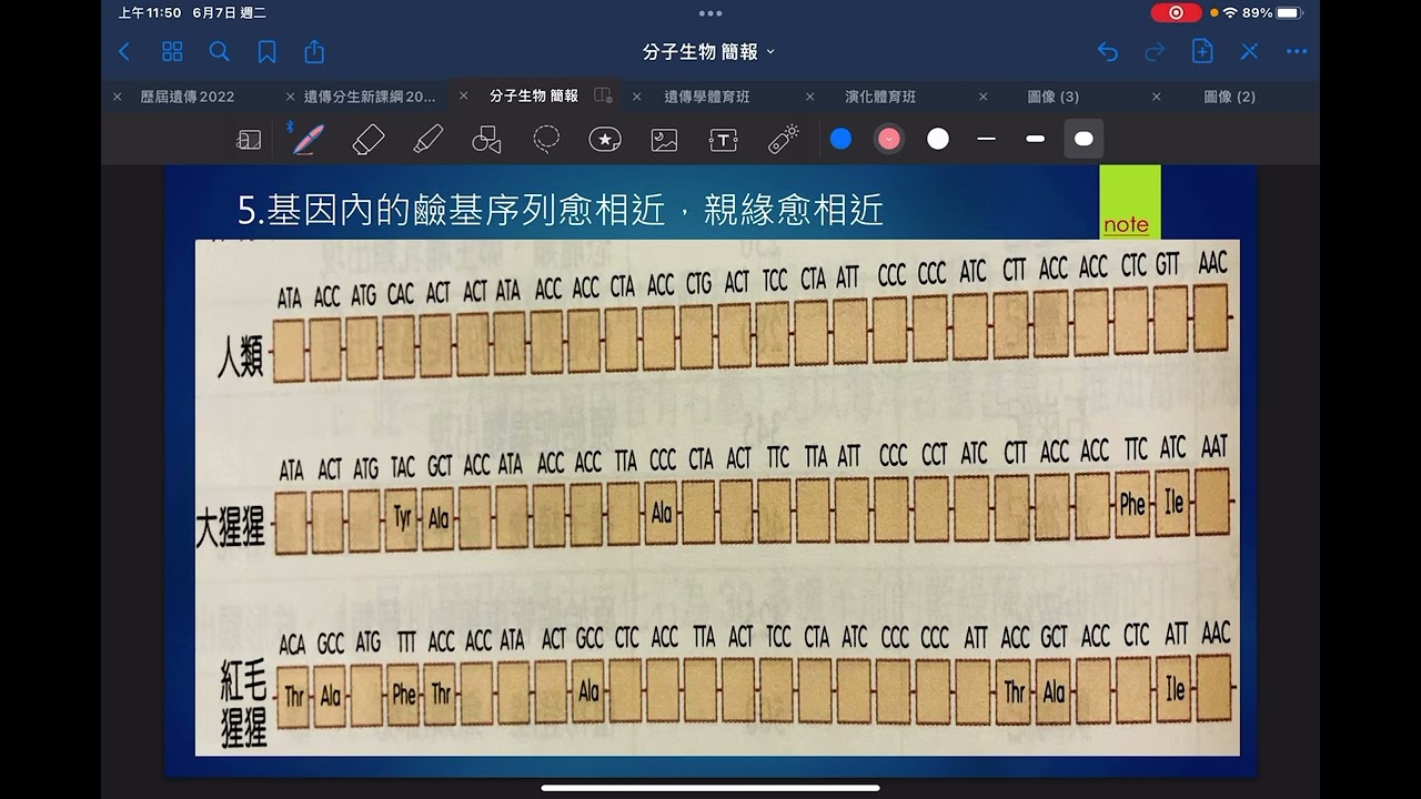分子生物學No7:(高一必修)基因鹼基序列與親緣關係