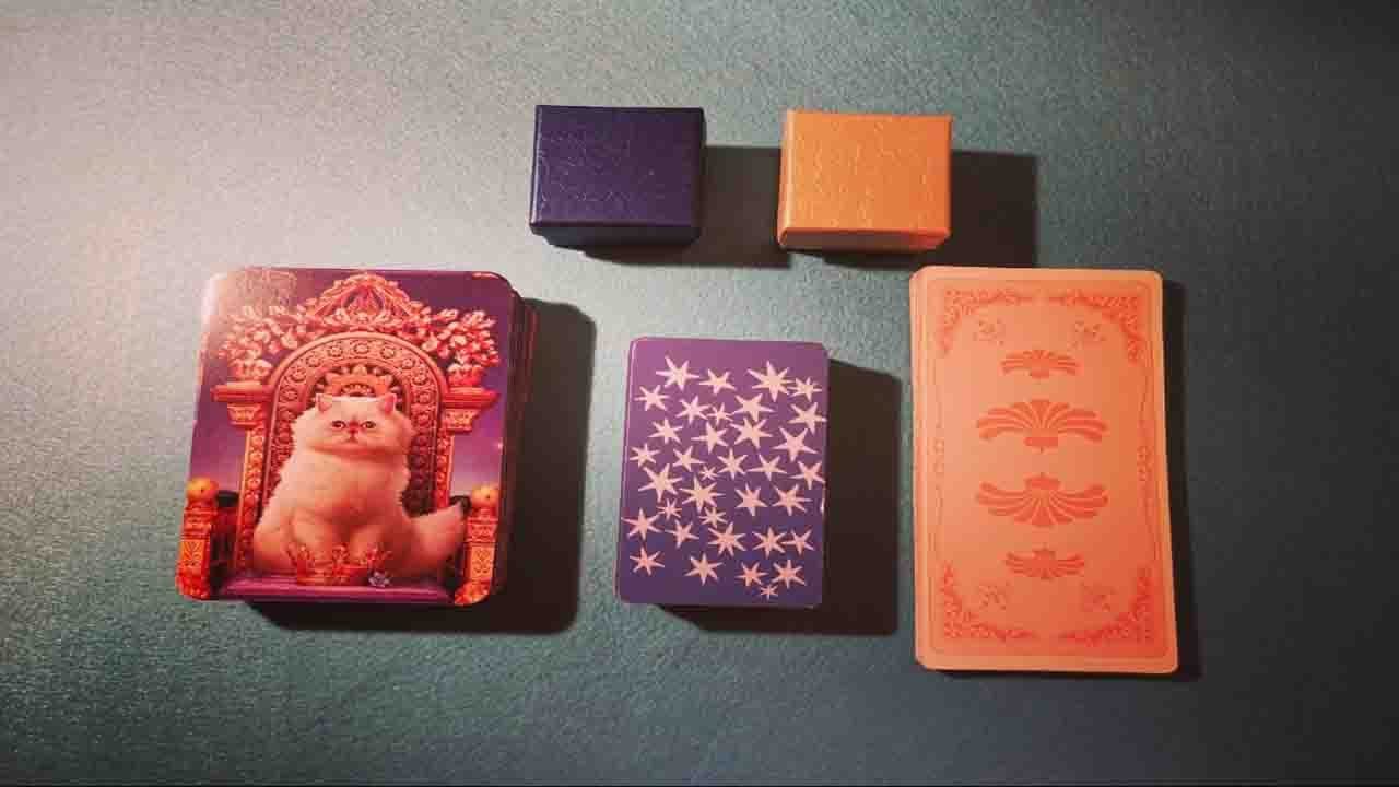 COMO ESTÁ EN ESTE MOMENTO , COMO SE ENCUENTRA TU PERSONA ESPECIAL ?  Tarot interactivo.
