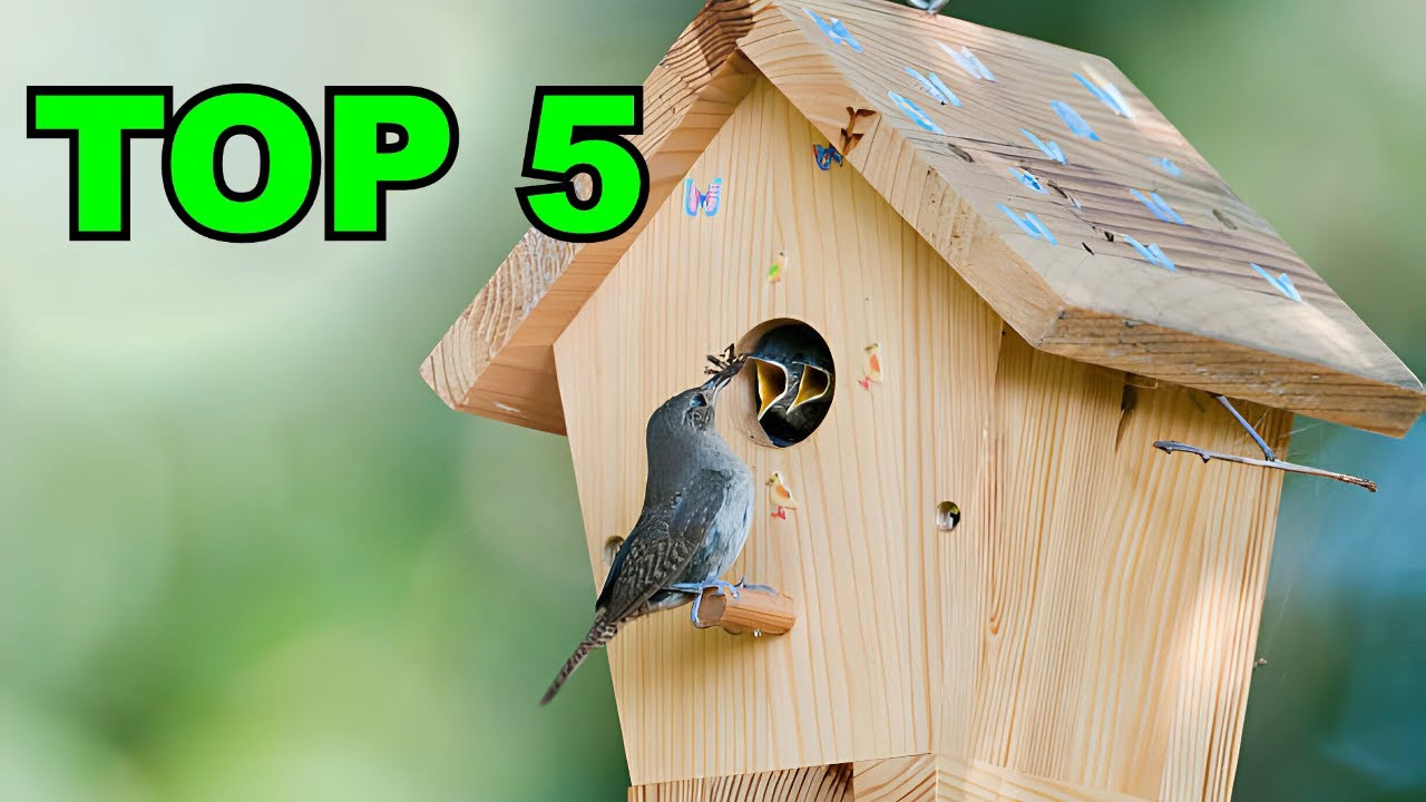 nichoir oiseaux : TOP 5 des nichoirs pour oiseaux à acheter en 2024 !