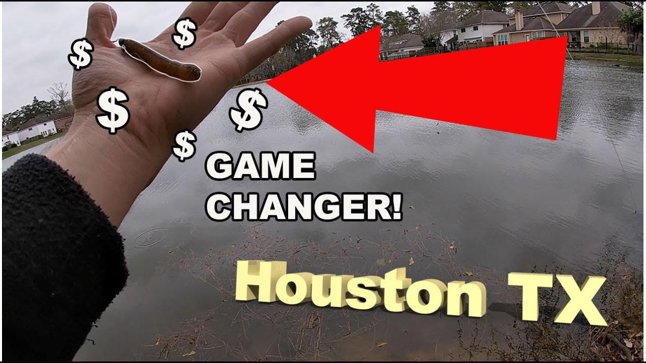 Urban Fishing in Houston TX