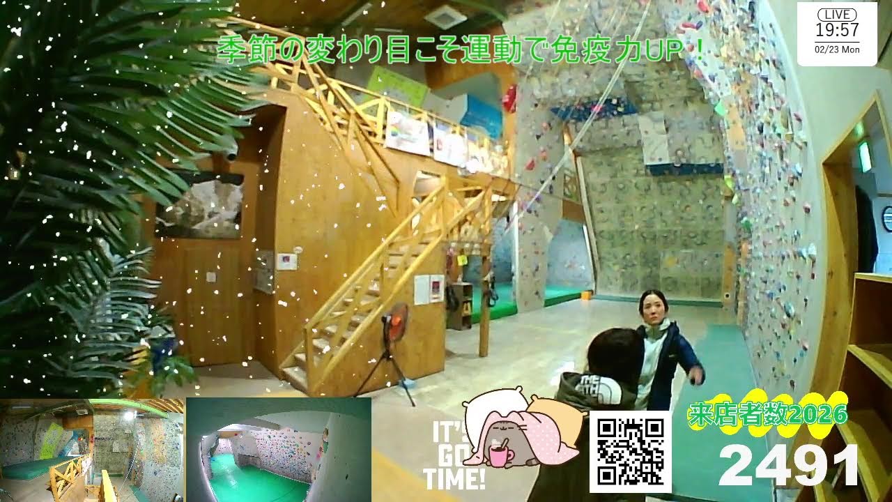 【LIVE CAMERA】Sport Climbing Gym『RainbowCliff』