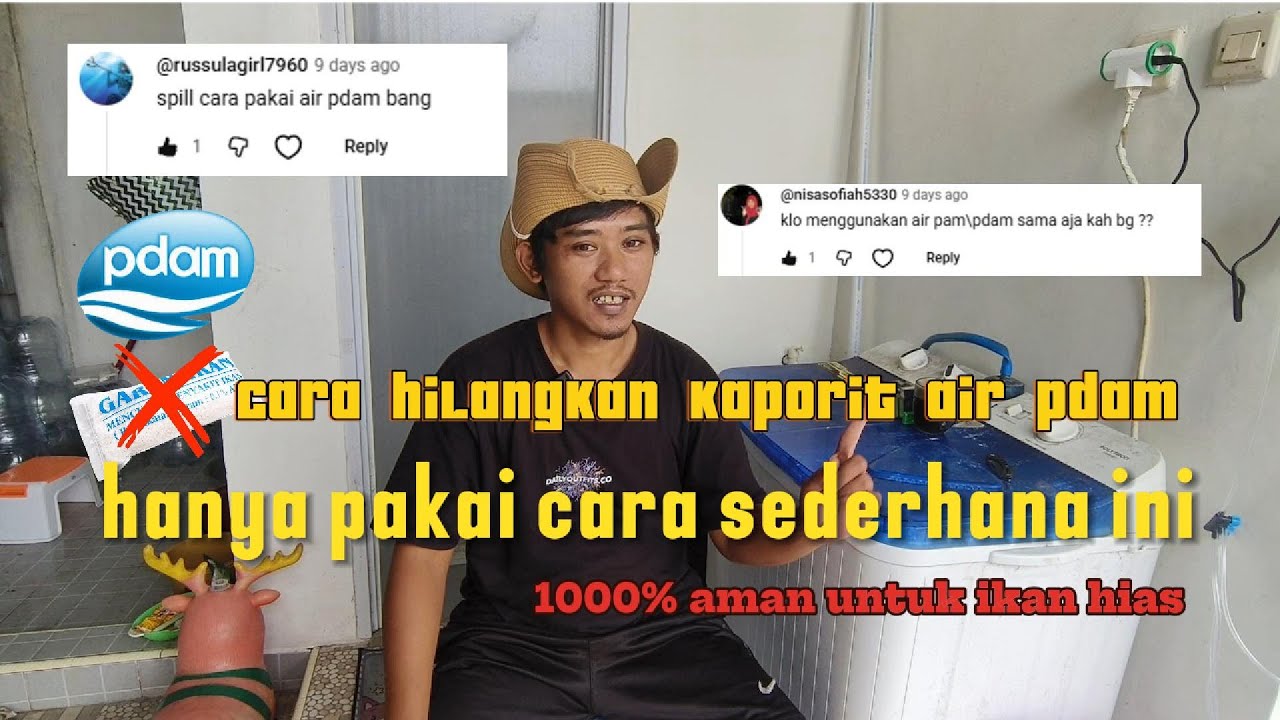 air pdam untuk ikan hias, cara simple dan sederhana #ikanguppy #ikanmolly #ikanhias #airpdam #airpam