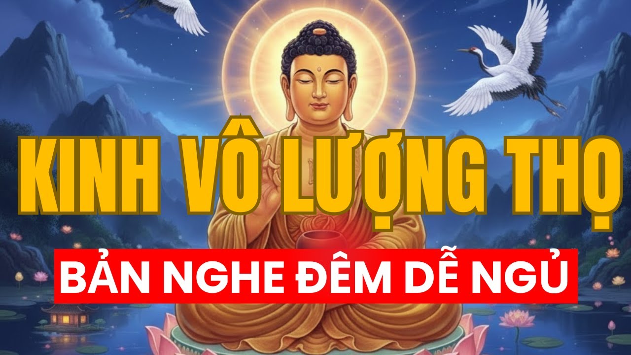 Kinh Vô Lượng Thọ Bản Nghe Đêm: Tâm An Lạc, Ngủ Ngon Giấc, Vạn Sự Cát Tường