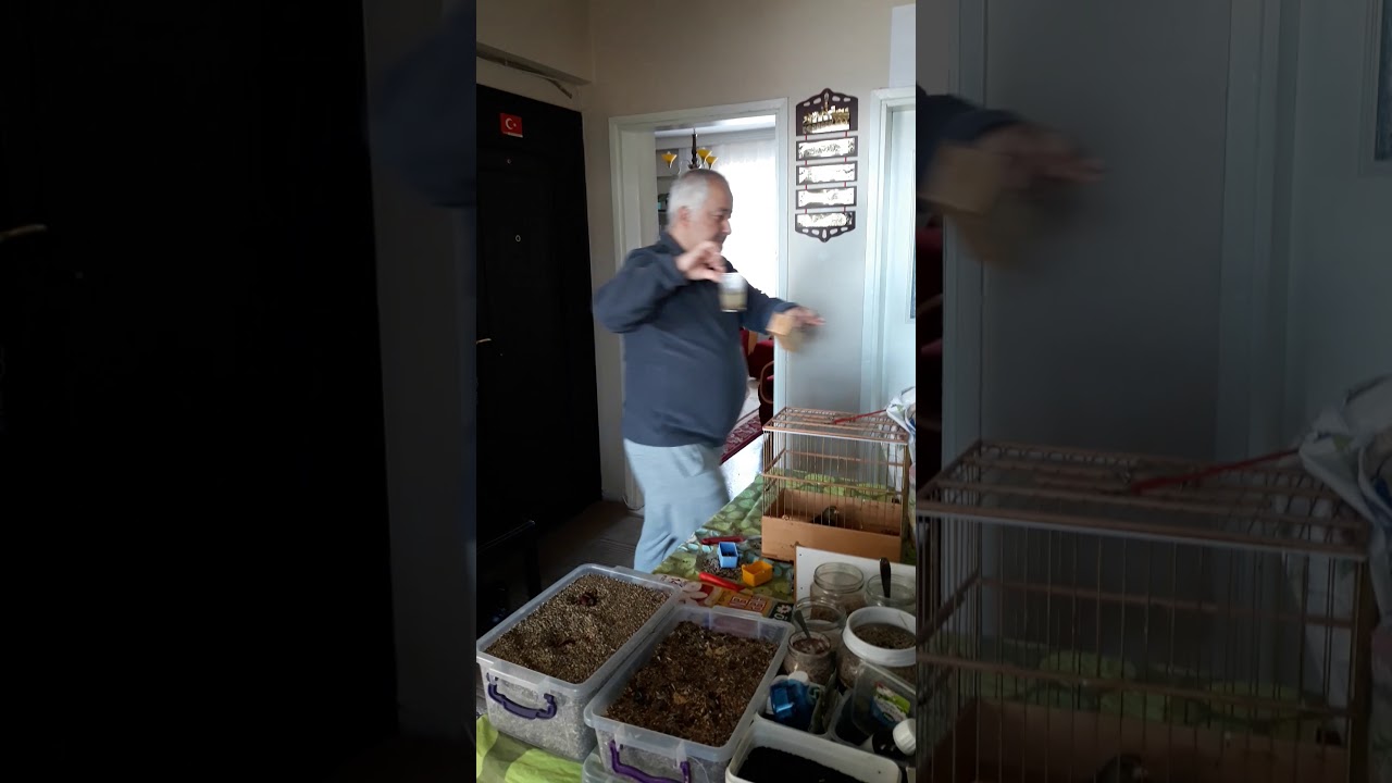 Sağlıklı Doğa Kuş Bakımı(Florya-Saka)