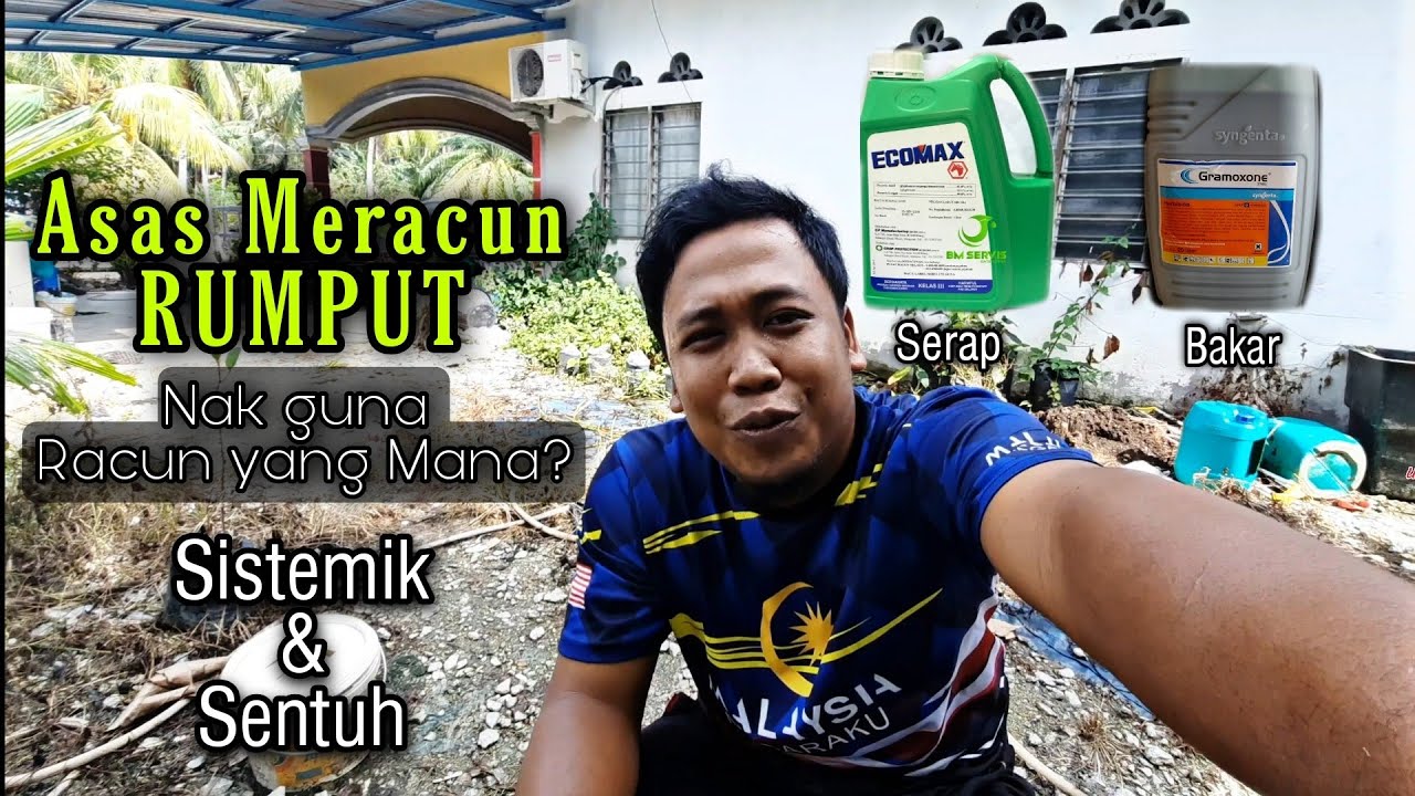 Apa itu RACUN BAKAR & RACUN SERAP | Pengenalan Asas Meracun Rumput