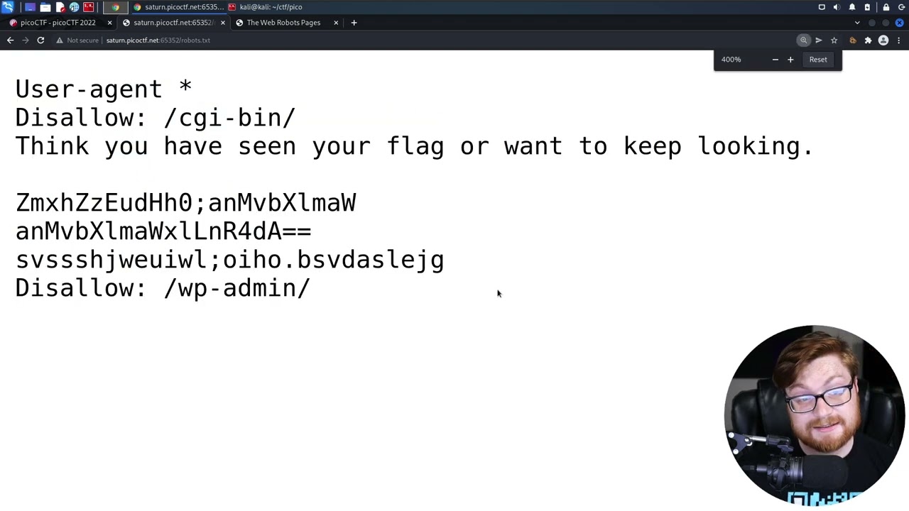 Secrets in robots.txt (PicoCTF 2022 #36 'roboto-sans')