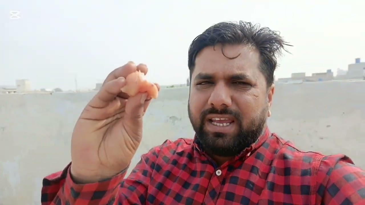 Raja Bahawalpuri | bird's flying 🪽 | maza a gya AJ Kafi | 2026 video