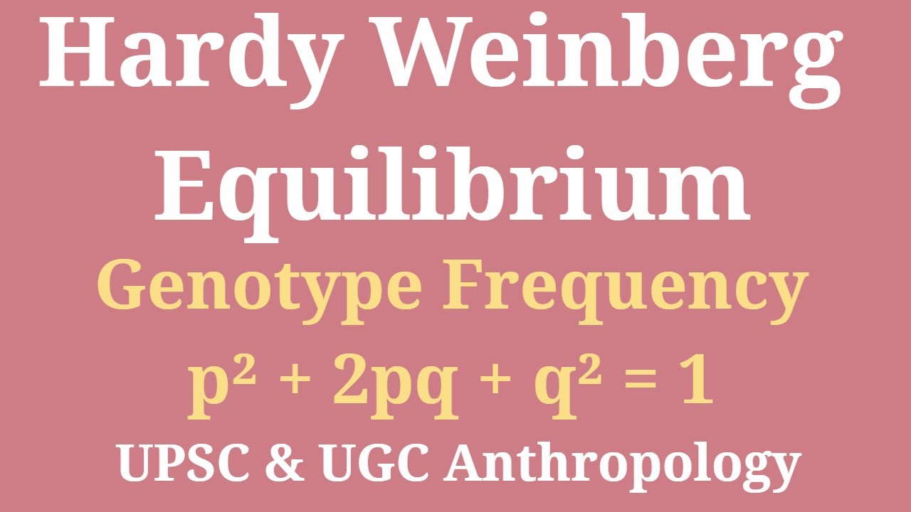 Hardy-Weinberg Equilibrium Explained | Population Genetics | UPSC & UGC Anthropology