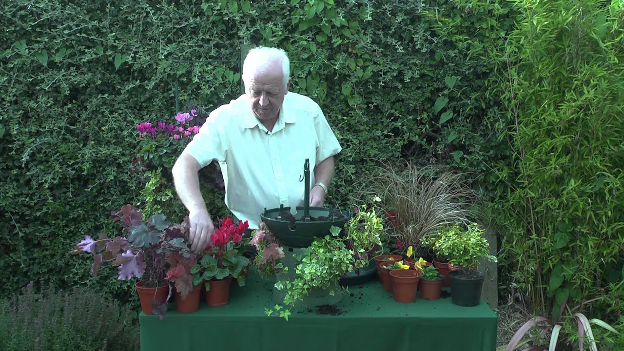 Dr Fosters Autumn Baskets - now Besthangingbaskets.com