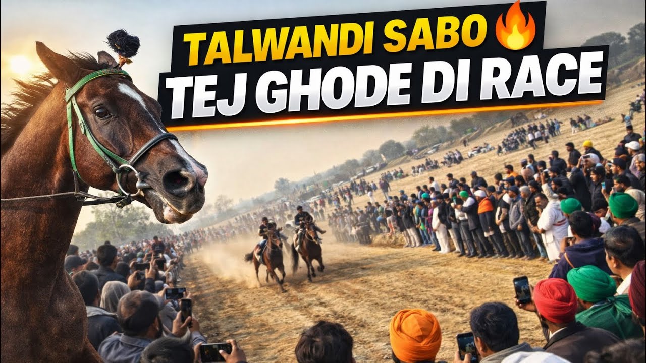 Talwandi Sabo Horse Race 😱 Tej Ghode Ne Sab Nu Hairan Kar Ditta 🔥#viral #trending #shorts 