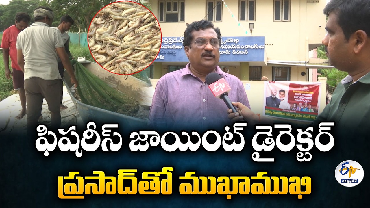 Electricity Subsidy Announced for Aqua Farmers in Eluru District | Fisheries JD Prasad Interview