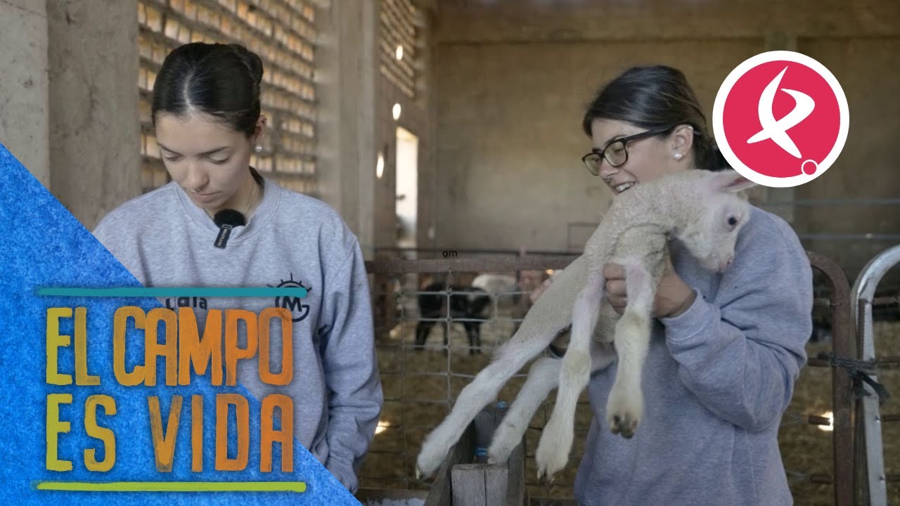 El esfuerzo ha merecido la pena para Isabel y Lidia | El campo es vida