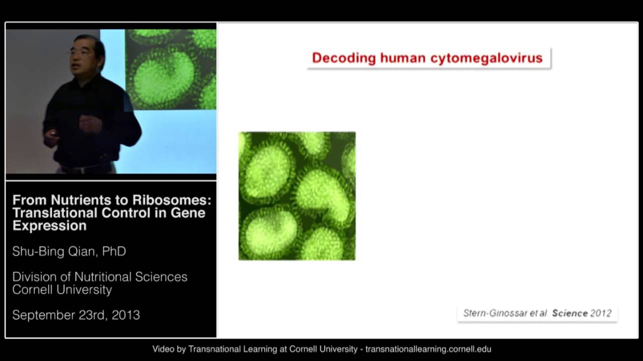 Shu-Bing Qian - From Nutrients to Ribosomes: Translational Control in Gene Expression