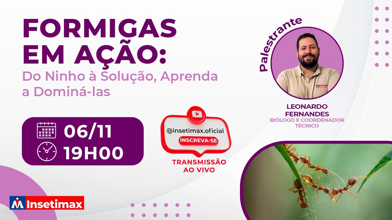 Aula 8 - Formigas em A&ccedil;&atilde;o: Do Ninho &agrave; Solu&ccedil;&atilde;o, Aprenda a Domin&aacute;-las