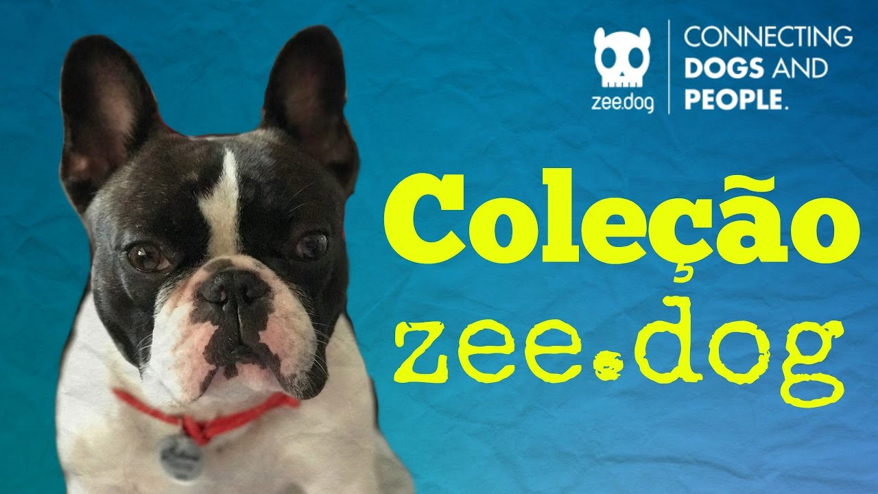 Coleção zeedog