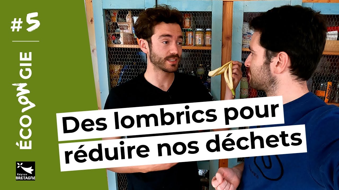 Ecolowgie #5 &ndash; Des lombrics pour r&eacute;duire nos d&eacute;chets