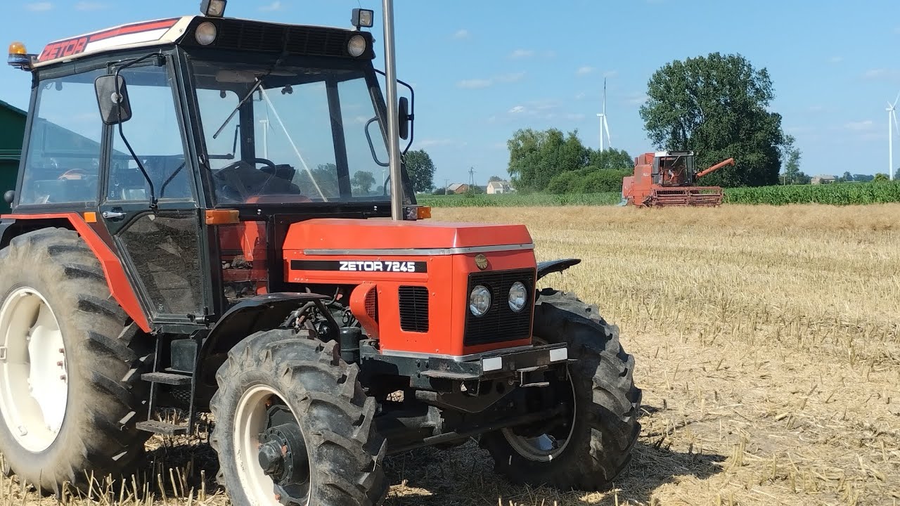 Żniwa rzepakowe - 2024, Bizon 5043 i zetor 7045 w akcji 🌾🔥