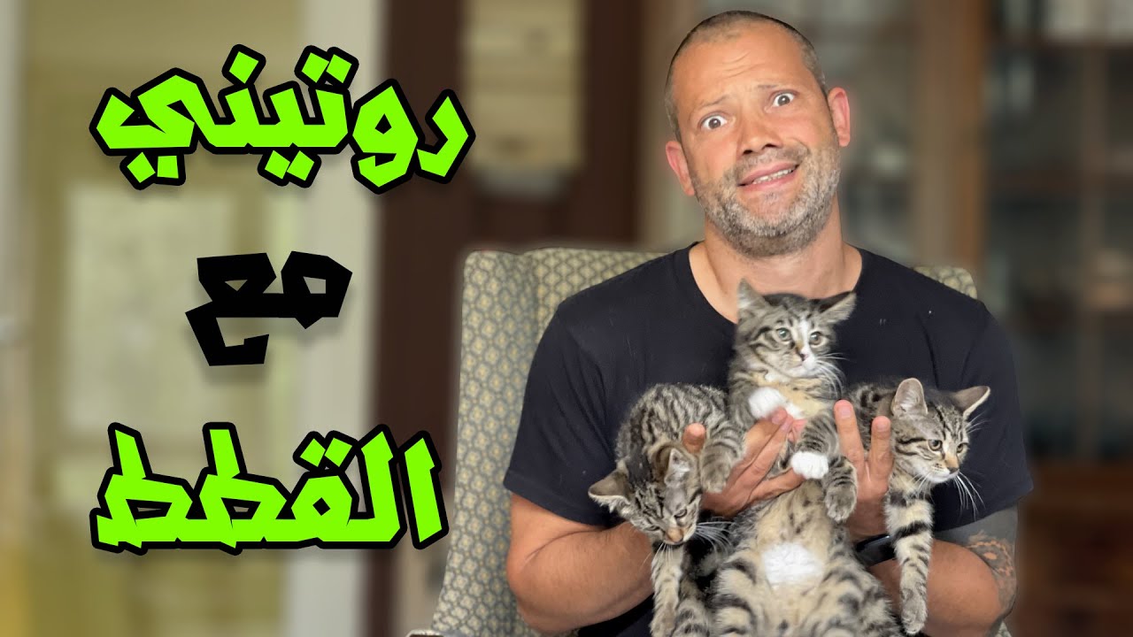 روتين كل صباح مع خمسة قطط 😮‍💨 | My Morning With Five Cats