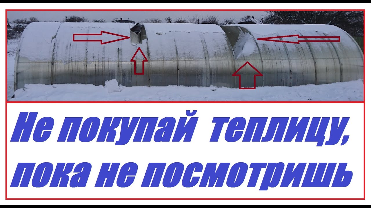 Поликарбонат для теплицы - что нужно о нем знать?