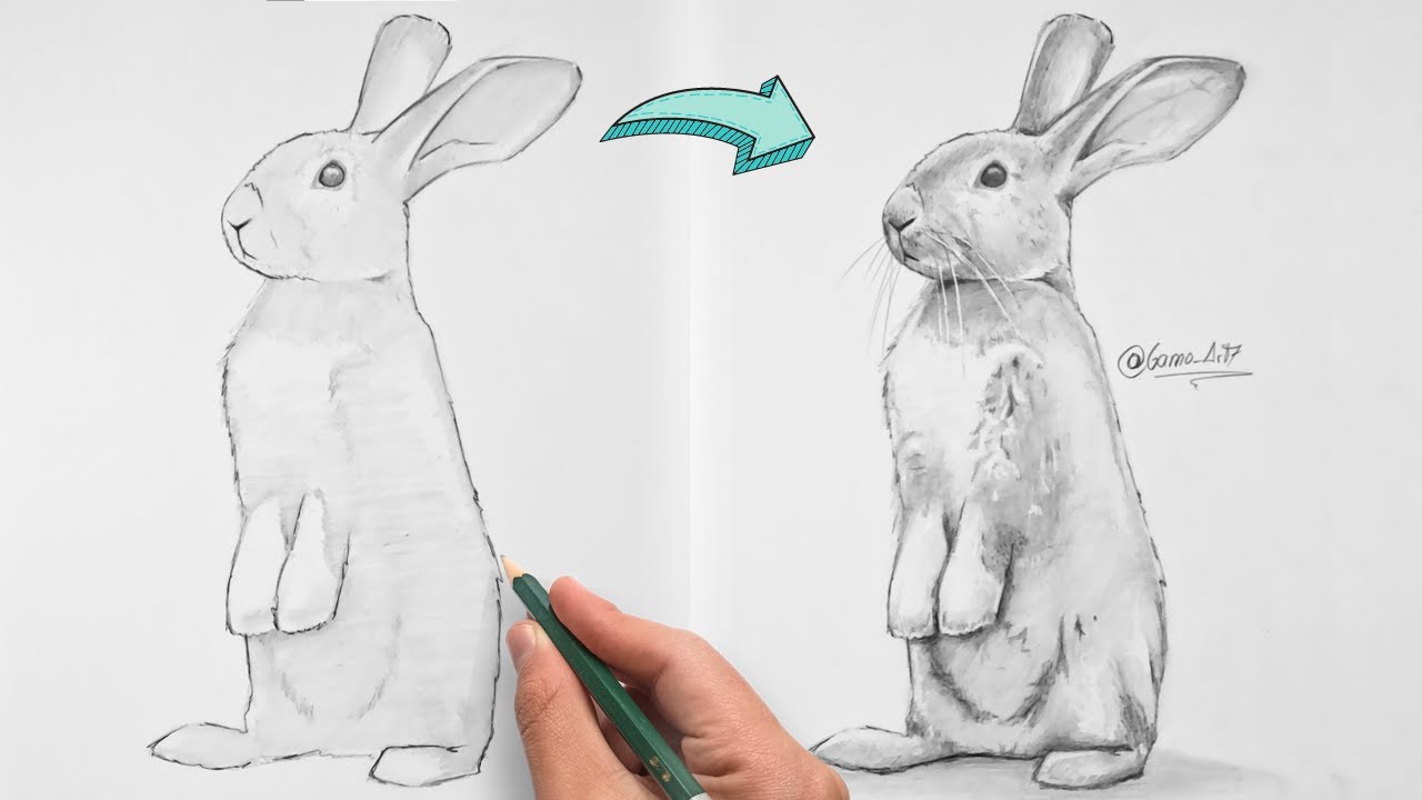 Cómo Dibujar un Conejo Realista a Lápiz - Paso a Paso