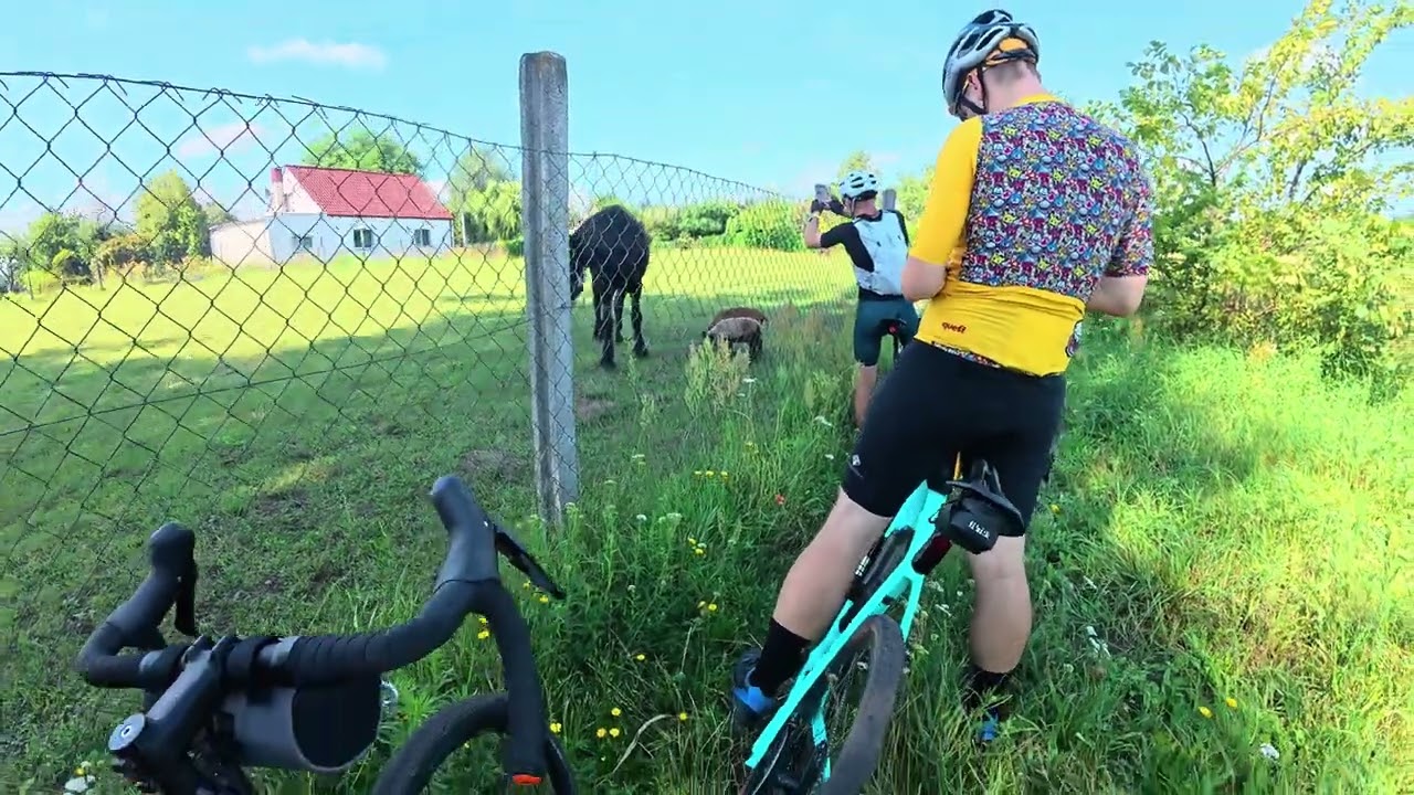 Puszcza Notecka - gravelem w poszukiwaniu szutr&oacute;w premium 