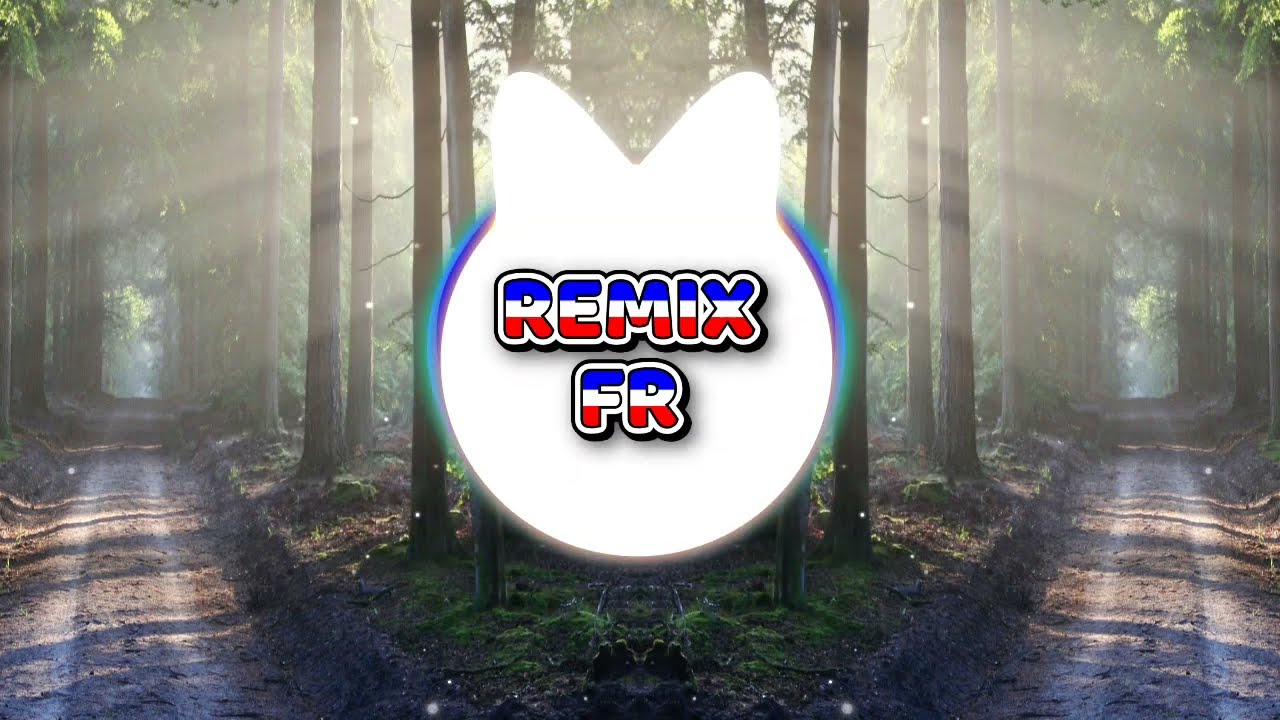 Aya Nakamura  - Méchante Steeve West & Dj Nasty Remix