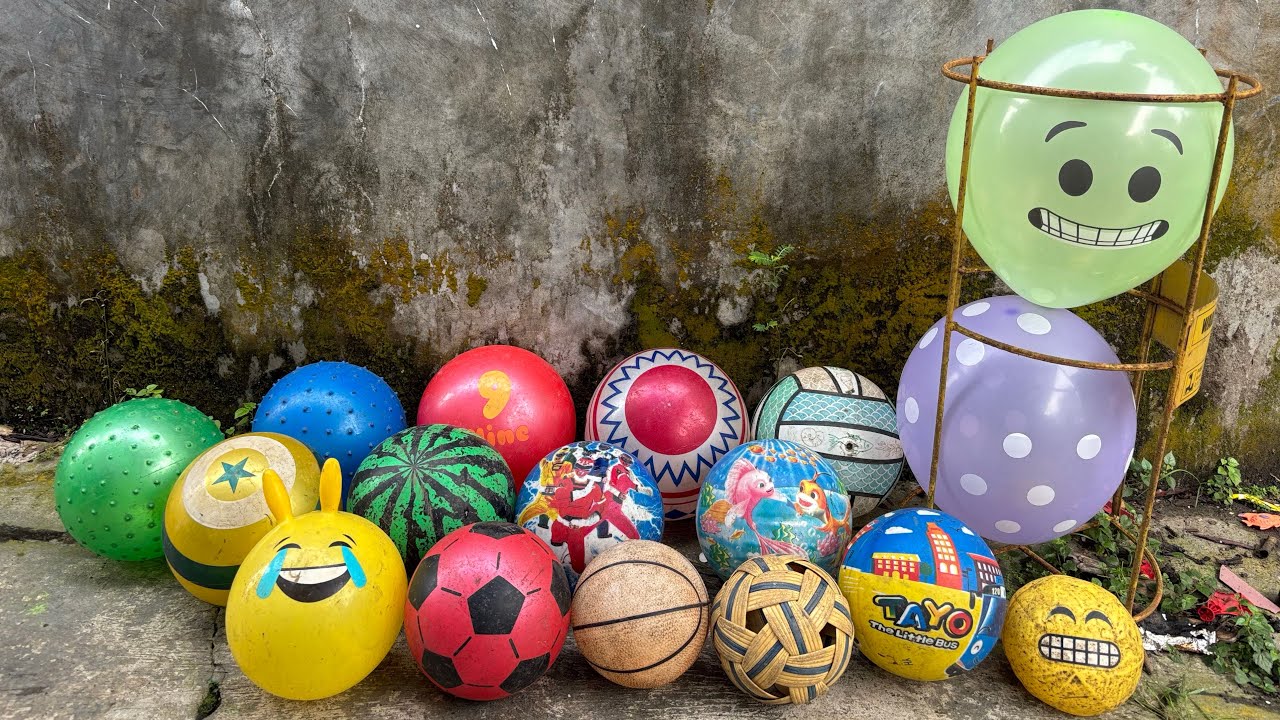 HUNTING BALON LUCU 🎈DAN BOLA BOLA ⚽️🏀🏐 600
