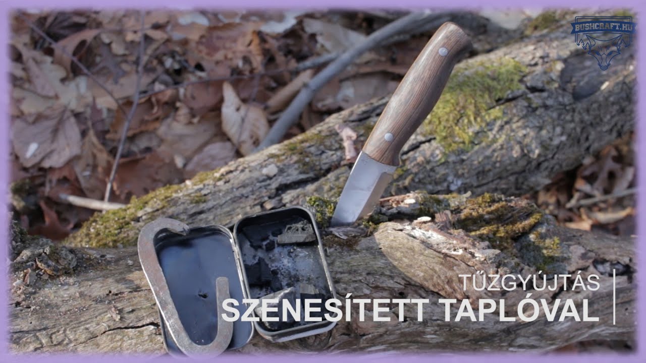Szenesített tapló készítése és használata