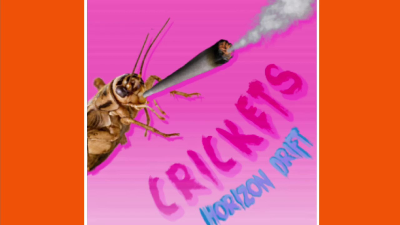 Crickets - (prod. JACK MARLOW)
