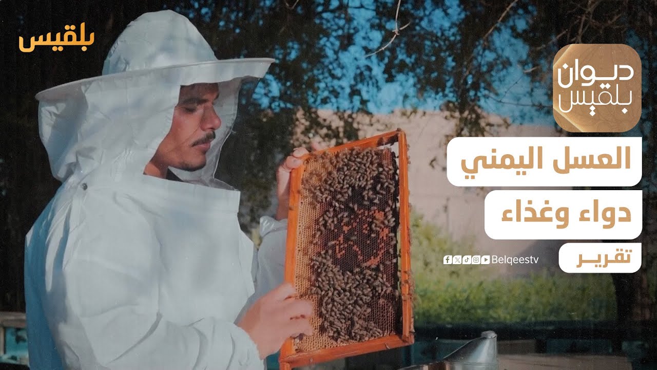 العسل اليمني.. دواء وغذاء وهدايا | تقرير: موسى النمراني