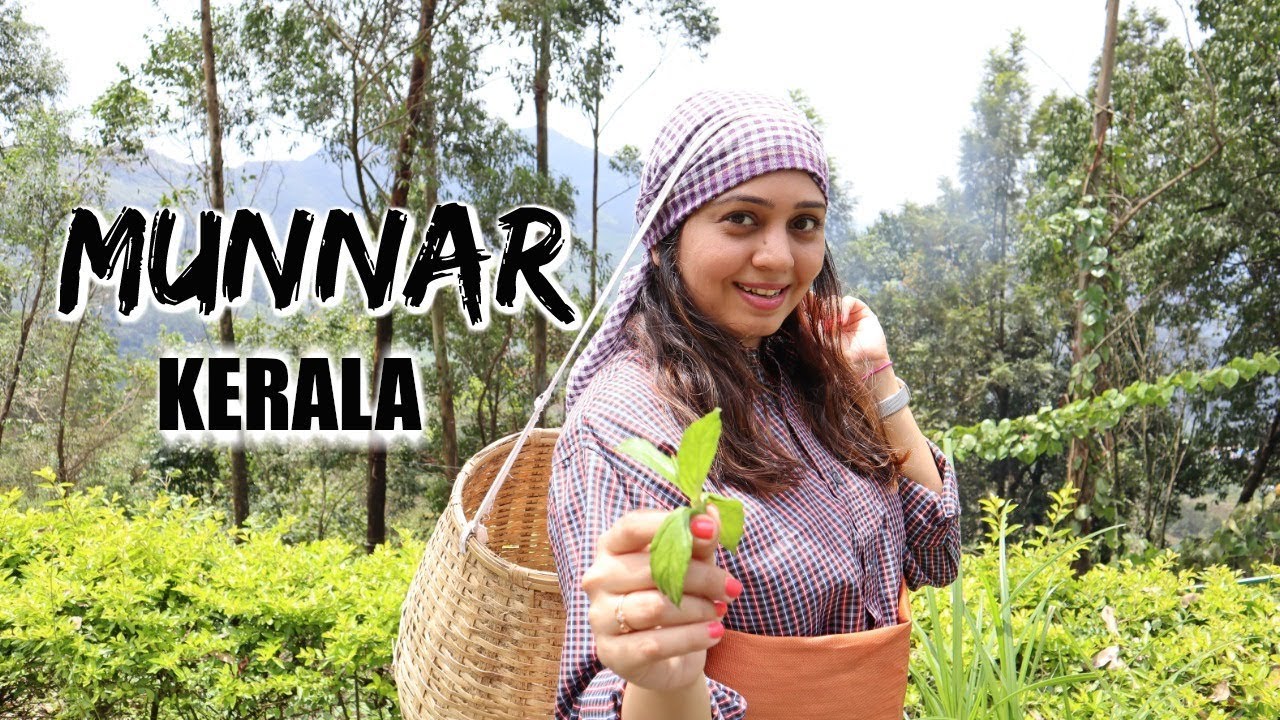 MUNNAR Hill Station | Kerala Food, Best Hotel in Munnar, Tea Plantations