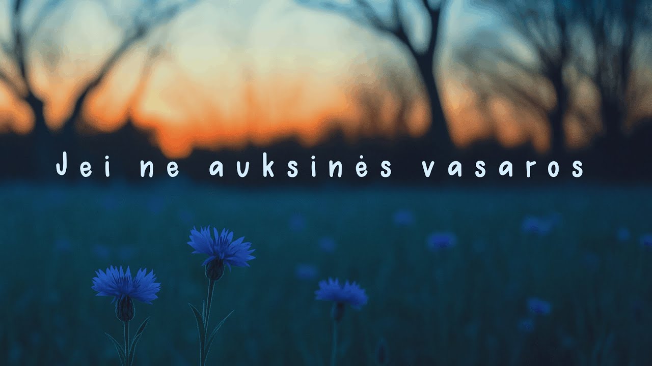 Muzika Garsiau - Jei ne auksinės vasaros (Cover)