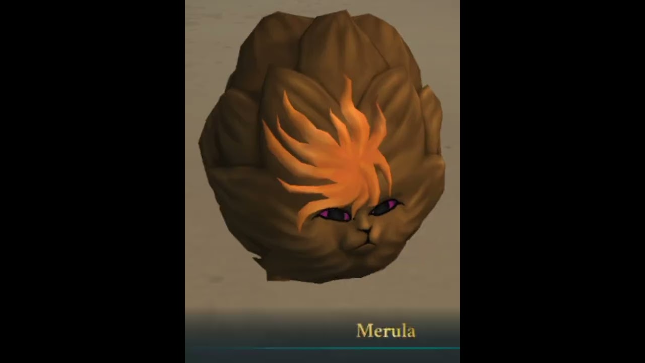 Harry potter hogwarts mystery - Merula turns into Puffskein!😍