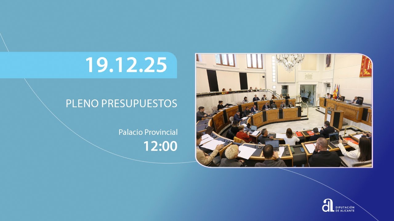 Pleno ordinario enero 2026