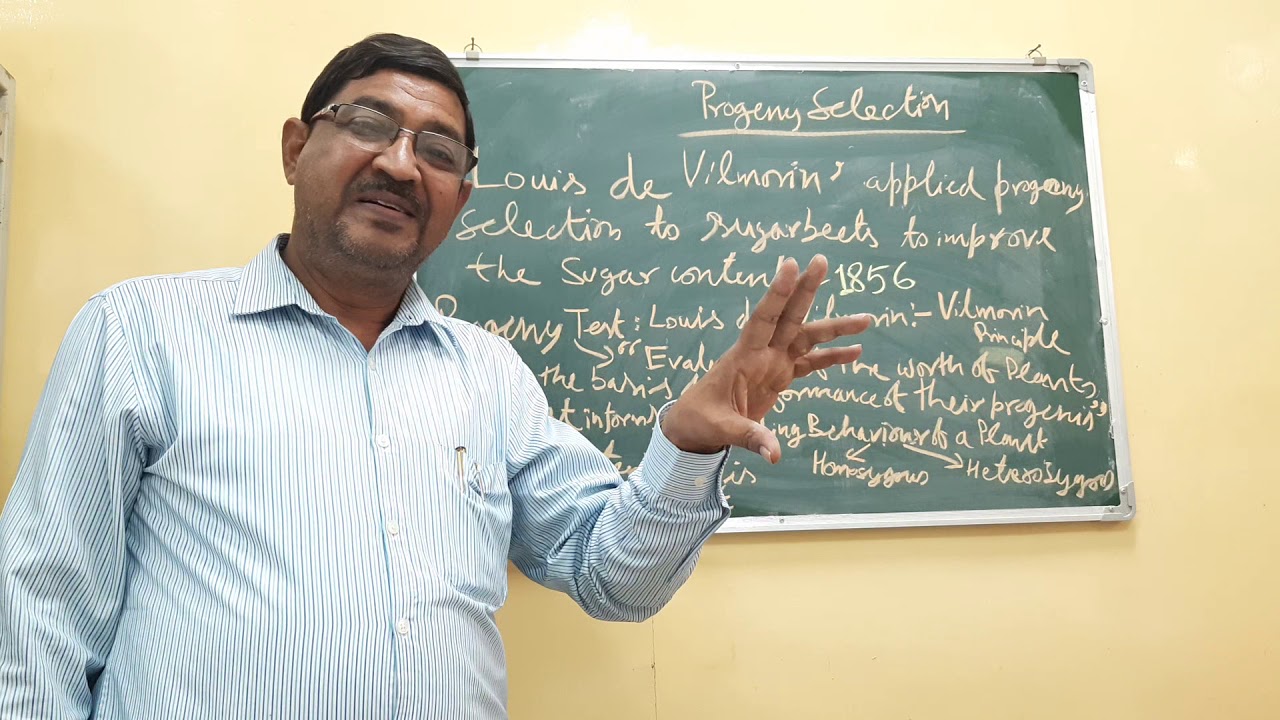 Progeny Test , Vilmorin Principle